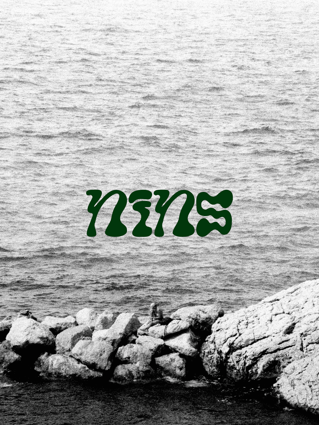 Nins Logo Visual in Layout